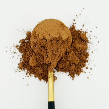 Good Day Latte - Functional Cacao Latte Mix