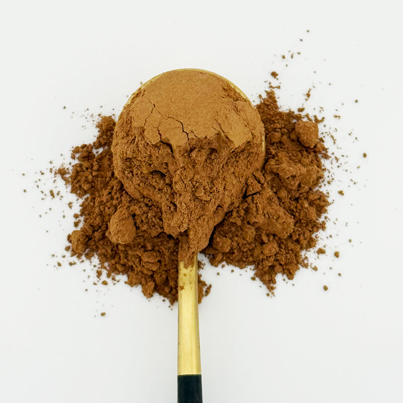 Good Day Latte - Functional Cacao Latte Mix